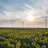 GROENWATT BRANDSTOFTRANSITIE ENERGIEBESPARING BEDRIJVEN DELFZIJL